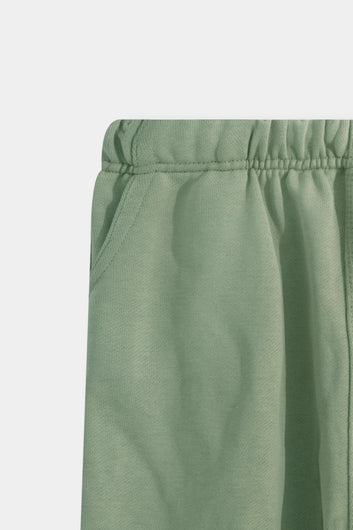 Sage Breeze Shorts